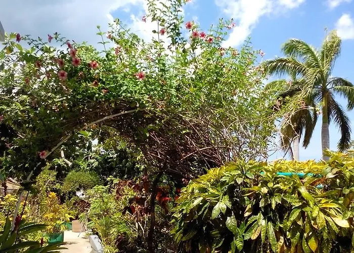 Palm View Hotel