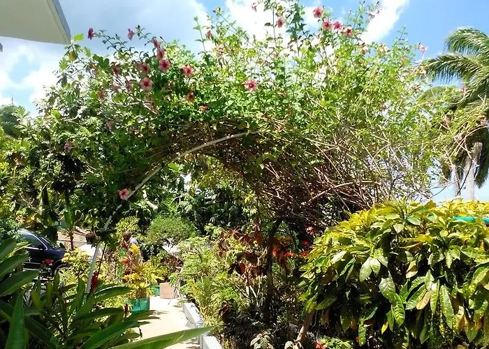 Palm View 2*