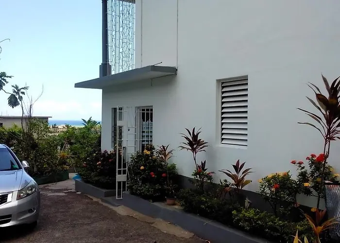 Palm View Montego Bay