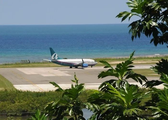 Palm View 2*