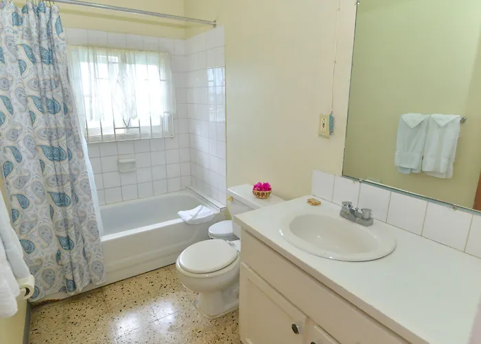 Palm View Hotel Montego Bay