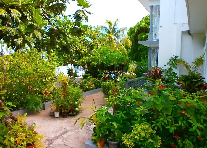 Hotel Palm View 2*
