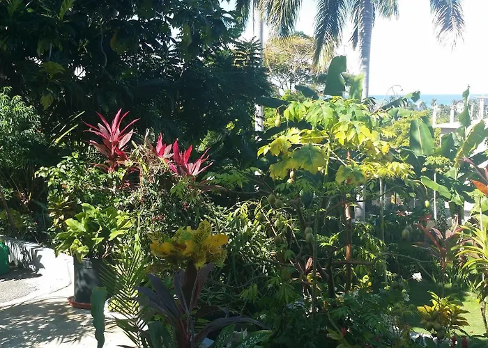 Palm View